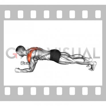 Plank Scapula Push-up (male)