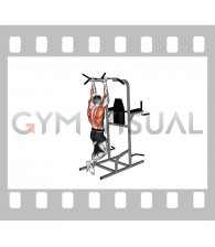 Weighted Neutral Grip Chin-up (male)