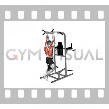 Weighted Neutral Grip Chin-up (male)