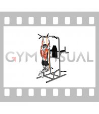 Resistance Band Assisted Neutral Grip Chin-up (male)
