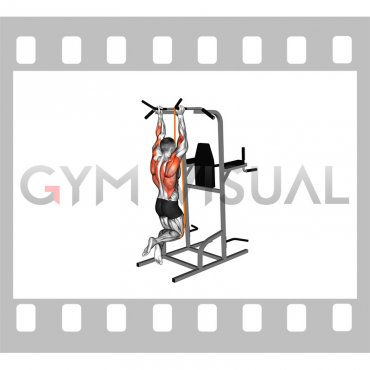 Resistance Band Assisted Neutral Grip Chin-up (male)