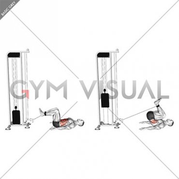 Cable Reverse Crunch