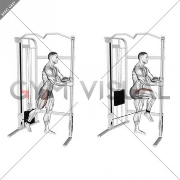 Cable Standing Hip Flexion (male)