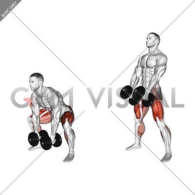 Dumbbell Sumo Deadlift (male)