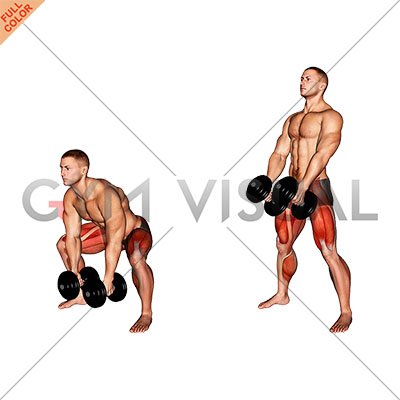 Dumbbell Sumo Deadlift (male)