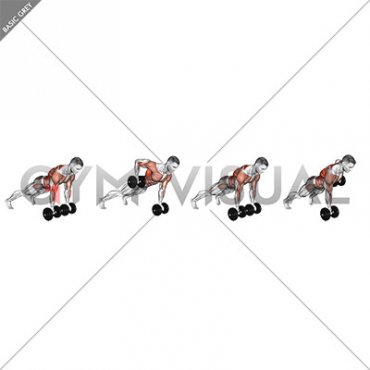 Dumbbell Underhand Renegade Row (male)
