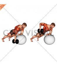 Dumbbell Renegade Row on Stability Ball (male)