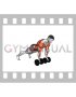 Dumbbell Underhand Renegade Row (male)