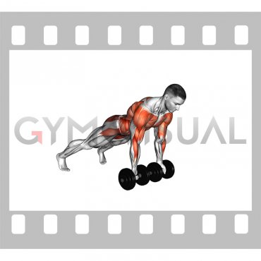 Dumbbell Underhand Renegade Row (male)