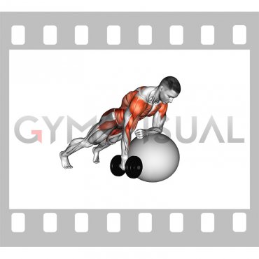 Dumbbell Renegade Row on Stability Ball (male)