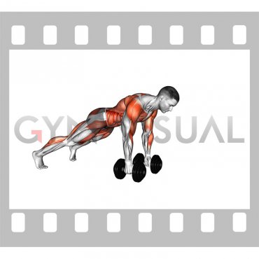 Dumbbell Renegade Row Walk (male)