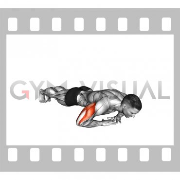 Cross Arms Triceps Extension (male)