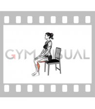 Seated Alternate Hamstrings Stretch on a Chair (female)