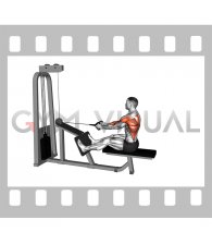 Cable Seated Lats Focused Row