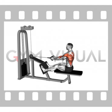 Cable Seated Lats Focused Row