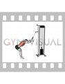 Cable Straight Arm Pulldown (with rope attachment)