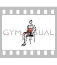 Seated Open Knee Leg Raise on a Chair (male)