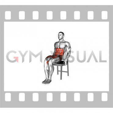 Seated Open Knee Leg Raise on a Chair (male)