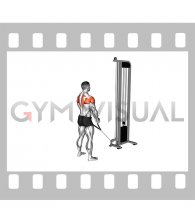 Cable Standing Y raises (with rope attachment) (male)