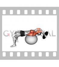 Weighted Plate Pullover on Stability Ball (male)
