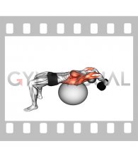 Kettlebell Pullover on Stability Ball (male)