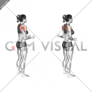 Bodyweight Standing Scapular External Rotation (female)