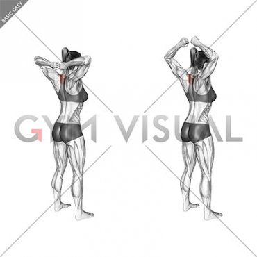 Bodyweight Standing T-spine Press (female)