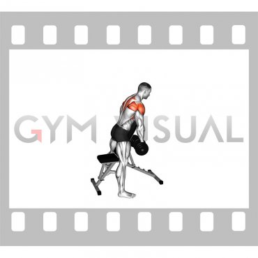 Dumbbell Standing Prone Y Raise male Video