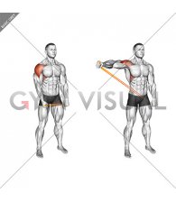 Resistance Band Standing Single Arm Lateral Raise (male)