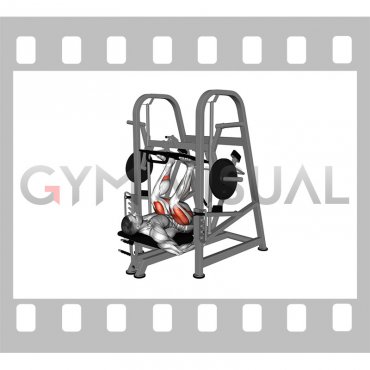 Lever Vertical Leg Press (male)