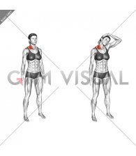 Standing Side Neck Stretch (female)