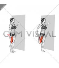 Standing Quadriceps Stretch (female)