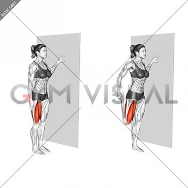 Standing Quadriceps Stretch (female)