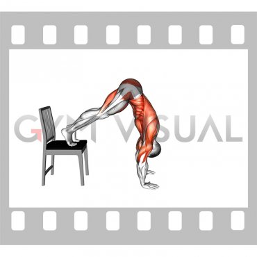 Elevated Plank Walkout with a Chair (male)