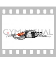 Side Lying Quadriceps Stretch (female)