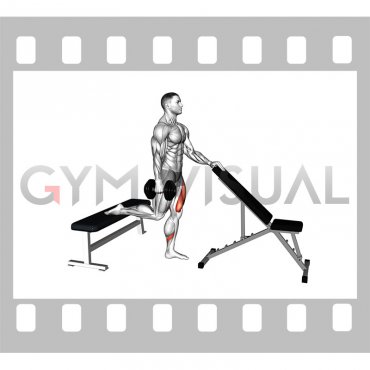 Dumbbell Bulgarian Split Squat with Support (male)