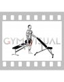 Dumbbell Bulgarian Split Squat with Support (male)