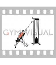 Cable Incline Single Arm Lat Pulldown (male)