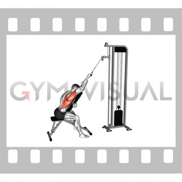 Cable Incline Single Arm Lat Pulldown (male)