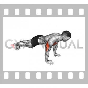Deep Push-up Hold (male)