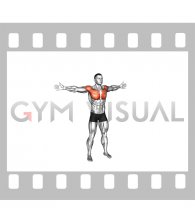 Bodyweight Standing Straight Arm Chest High Fly (male)