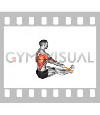 Resistance Band Seated Row (male)