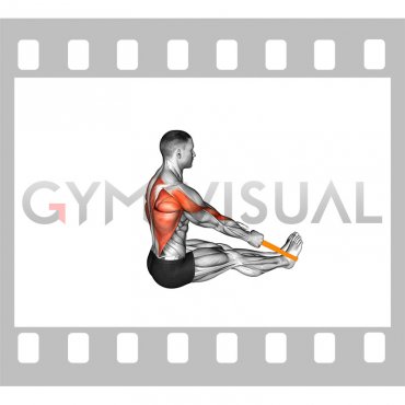 Resistance Band Seated Row (male)