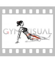 Single Lean Back Quadriceps Stretch (female)