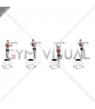 Pull-up (negative) (male)