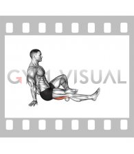 Roll Ball Seated Hamstrings Active (male)