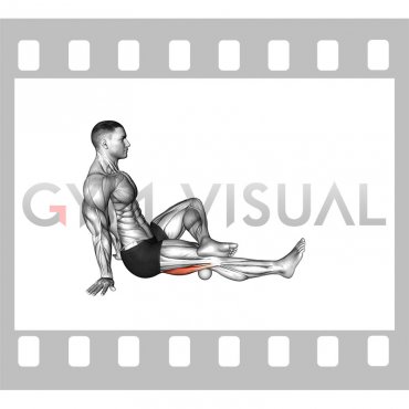 Roll Ball Seated Hamstrings Active (male)