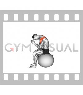 Sitting Scapular Adduction on Stability Ball (male)