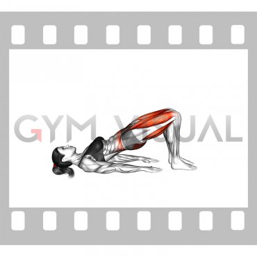 Bridge Alternate Leg Lift (female)