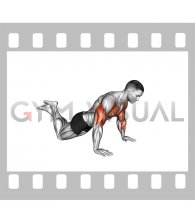 Kneeling Push-up Jump (male)